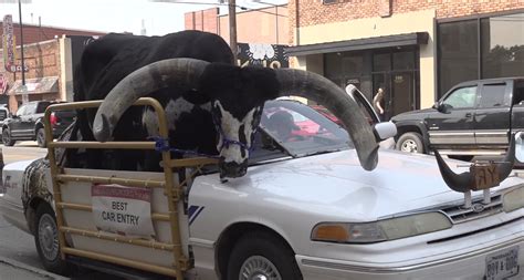 A car driving with a bull in it was pulled over in northeast Nebraska's biggest city, but don't worry, he didn't steer. ... Ford Crown Victoria sedan with a bull riding shotgun after a 911 call ...